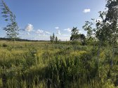 Šiaulių r. sav., Ginkūnų sen., Malavėniukų k. - nuotraukos Nr. 23