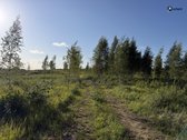 Šiaulių r. sav., Ginkūnų sen., Malavėniukų k. - nuotraukos Nr. 24