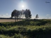 Šiaulių r. sav., Ginkūnų sen., Malavėniukų k. - nuotraukos Nr. 26