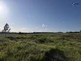 Šiaulių r. sav., Ginkūnų sen., Malavėniukų k. - nuotraukos Nr. 28