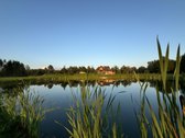Parduodama Sodyba Molėtų Rajone. Retai - nuotraukos Nr. 10