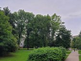 Parduodamas funkcionalaus išplanavimo 1 - nuotraukos Nr. 21