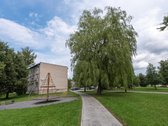 Parduodamas tvarkingas, po remonto esantis ir - nuotraukos Nr. 19