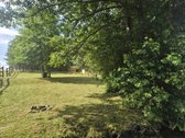 Parduodamas geras, taisyklingos formos žemės - nuotraukos Nr. 5