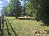 Parduodamas geras, taisyklingos formos žemės - nuotraukos Nr. 6