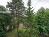 Šviesus ir jaukiai įrengtas butas žalumos - nuotraukos Nr. 26