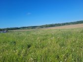Parduodamas 2 kambarių butas su atskiru - nuotraukos Nr. 17