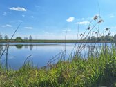 Parduodamas namas Kėdainių r, Krakių sen, - nuotraukos Nr. 22