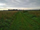 Parduodama sena sodyba (vienkiemis) prie - nuotraukos Nr. 4