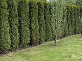 Parduodamas pilnai įrengtas namas prie - nuotraukos Nr. 12