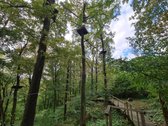 Išnuomojamas išskirtinis 3,63 ha parkas su - nuotraukos Nr. 13
