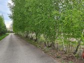Išnuomojamas išskirtinis 3,63 ha parkas su - nuotraukos Nr. 27