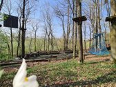 Išnuomojamas išskirtinis 3,63 ha parkas su - nuotraukos Nr. 46