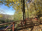 Išnuomojamas išskirtinis 3,63 ha parkas su - nuotraukos Nr. 57