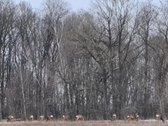 Išnuomojamas išskirtinis 3,63 ha parkas su - nuotraukos Nr. 63