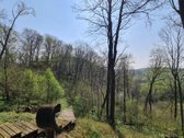 Išnuomojamas išskirtinis 3,63 ha parkas su - nuotraukos Nr. 67