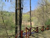 Išnuomojamas išskirtinis 3,63 ha parkas su - nuotraukos Nr. 68