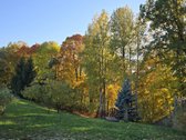 Išnuomojamas išskirtinis 3,63 ha parkas su - nuotraukos Nr. 69