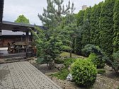 Tvarkingas Ir Prižiūrėtas Namas Gyvenimui - nuotraukos Nr. 24