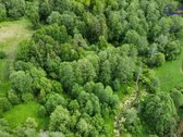Upelis, miškas, asfaltas, šalia komunikacijos. - nuotraukos Nr. 11