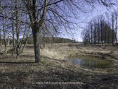 Parduodama Išskirtinė Autentiška Sodyba, Itin - nuotraukos Nr. 17