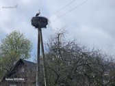 Parduodami 2 namų valdos žemės sklypai . - nuotraukos Nr. 15