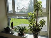 Retai Pasitaikantis Rinkoje ! - nuotraukos Nr. 23