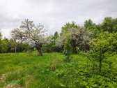 Parduodama Sodybvietė Su 6ha Žemės Sklypu – - nuotraukos Nr. 4