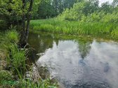 Parduodama Pusė (1/2) Namo Ant Lakajos Upės - nuotraukos Nr. 19