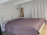Išnuomuojamas jaukus loftas Vilniaus širdyje - nuotraukos Nr. 5
