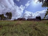 Širvintų Rajone, Šešuolėlių II Kaime - nuotraukos Nr. 8
