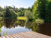 Tarp upės ir dviejų tvenkinių, miško apsuptyje - nuotraukos Nr. 30