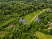 Išskirtinė Sodyba Miškų Apsuptyje Su 3,86 Ha - nuotraukos Nr. 18