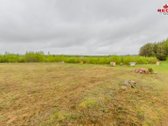 22 Ha Sklypas Su Namo Proektu Tetervinės - nuotraukos Nr. 3