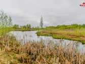 22 Ha Sklypas Su Namo Proektu Tetervinės - nuotraukos Nr. 7