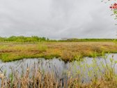 22 Ha Sklypas Su Namo Proektu Tetervinės - nuotraukos Nr. 8