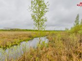 22 Ha Sklypas Su Namo Proektu Tetervinės - nuotraukos Nr. 9