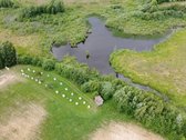22 Ha Sklypas Su Namo Proektu Tetervinės - nuotraukos Nr. 13
