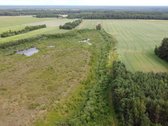 22 Ha Sklypas Su Namo Proektu Tetervinės - nuotraukos Nr. 14
