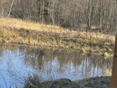 Objektas sodyba , namas ir jau su irengtu - nuotraukos Nr. 22