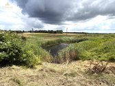 Širvintų Rajone, Juodiškių Kaimo Pakraštyje - nuotraukos Nr. 41