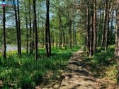 Lazdijų Rajone Gegutės K. Parduodamas Poilsio - nuotraukos Nr. 25