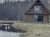 Objektas sodyba , namas ir jau su irengtu - nuotraukos Nr. 25