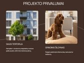 Atvirų durų dienos – kiekvieną dieną! - nuotraukos Nr. 5