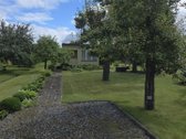 Parduodamas medinis sodo namas su 6 a. žemės - nuotraukos Nr. 4