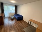 Išnuomojamas 1kamb. butas šalia kalniečių parko. - nuotraukos Nr. 6
