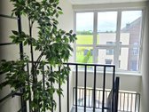 Parduodamas kokybiškai įrengtas 3 kambarių - nuotraukos Nr. 23