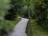 Parduodamas kokybiškai ir skoningai įrengtas - nuotraukos Nr. 25