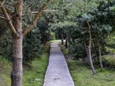 Parduodamas kokybiškai ir skoningai įrengtas - nuotraukos Nr. 27