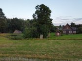 Parduodama sodyba Trečiūnų kaime – išskirtinė - nuotraukos Nr. 13